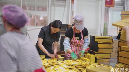 以司法之力，護茶香悠悠——宣恩縣法院加強知識產權法治保障有力支持全面創新